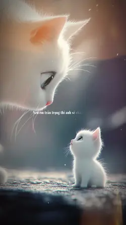 Tình cảm chân thành