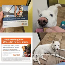 Vet Care 