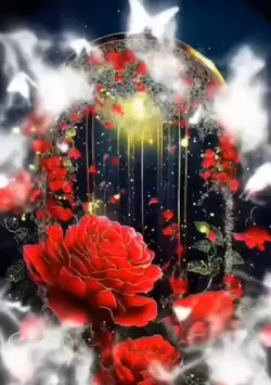Animations, effects
