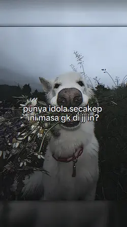punya idola secakep