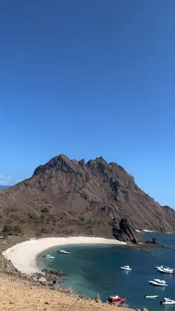 Komodo