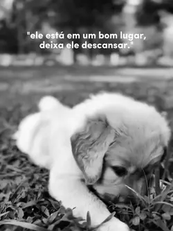 saudade.