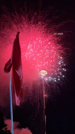 Ngắm pháo hoa 1 mình