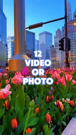 12 video 