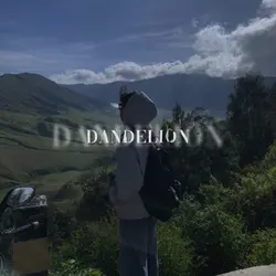 Dandelion 