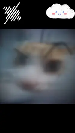 អាញ់ថាបោកបោកមែន