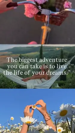 Enjoy life 