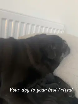 Best friend 