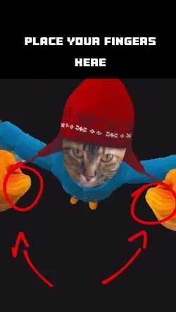 Funny cat spin