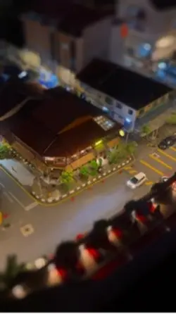Miniature