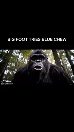 BIG FOOT VLOGS