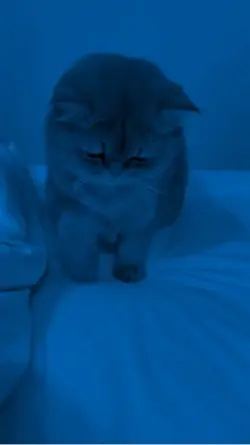 شارك