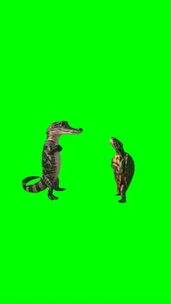 Aligator and Turtle 