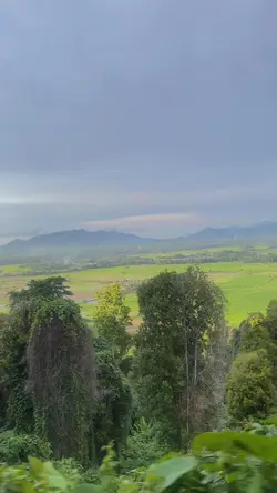 Video Cinematic Alam