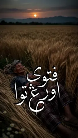 fatwa orang tua