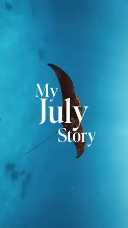 My July Story