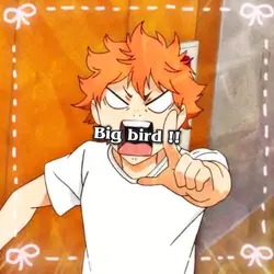 Shoyo Hinata !!