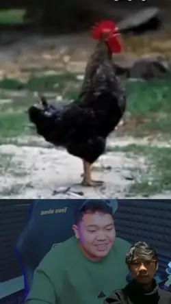 Mentahan Meme