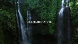 Cinematic Nature