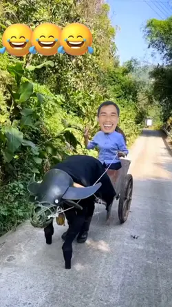 Cưỡi trâu