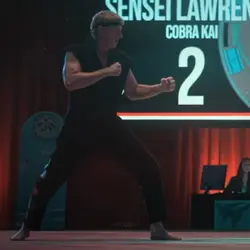 free cobrakai edit