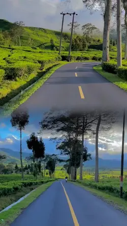 kolase 2 video hd