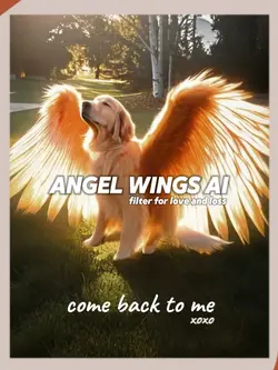 Angel 🪽 Wings 💔 
