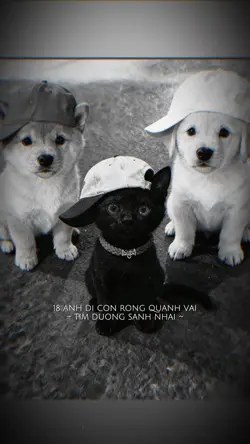THÀNH PHỐ SƯƠNG MỜ