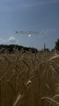 Ev dılémın 🕊️