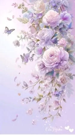 6 photo