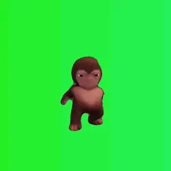 monyet joget