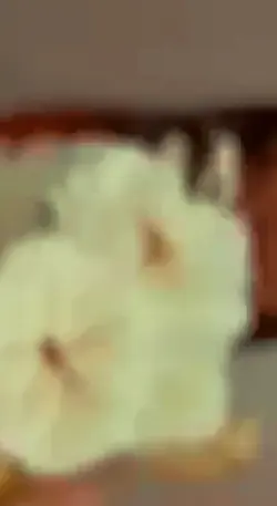 teaseronly