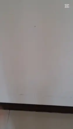 模板