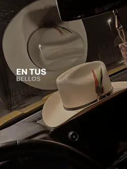 Aliado del Tiempo