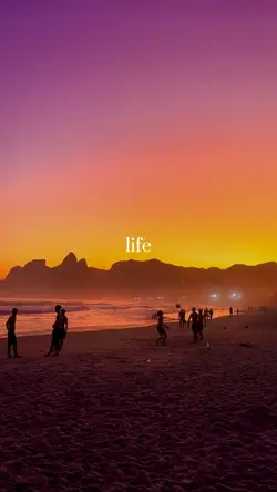 Life is this