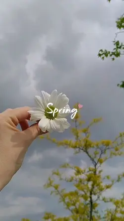 Spring...