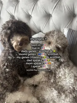 .