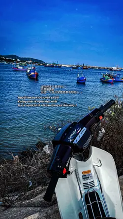 Trình chiếu màu+Cap