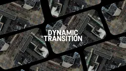 Dynamic Transition
