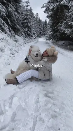 Winter mood ❄️