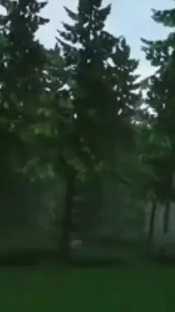 Unreal engine forest
