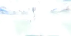 Dynamic 