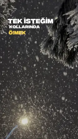 Tek isteğim 
