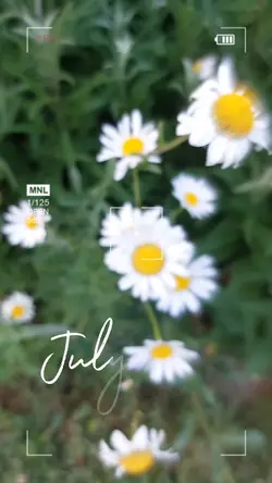 july