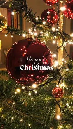 happy fun christmas