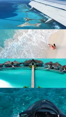 4 grid video 