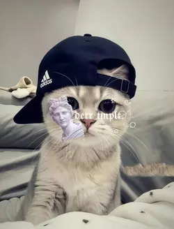 trend cina