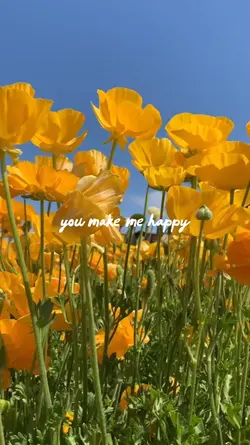 you make me happy