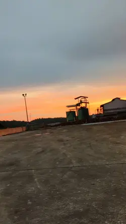 Puchau Merana