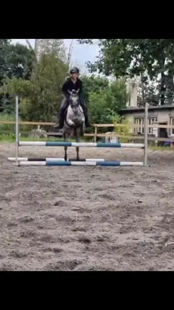 Neonek z wczoraj 